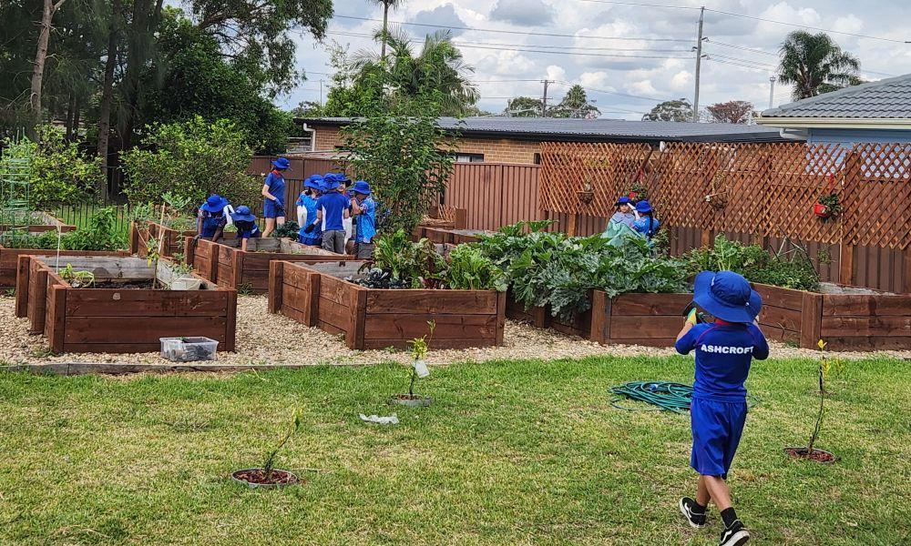 The Mirrung school wellbeing hub – meeting complex community needs to improve student outcomes
