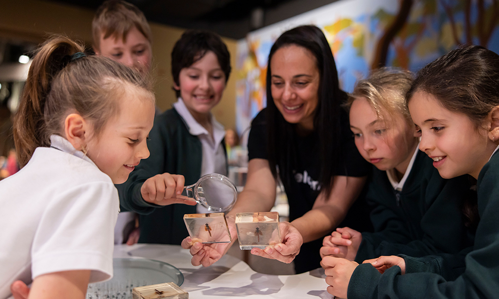 Australian Museum: Sydney’s most engaging excursion