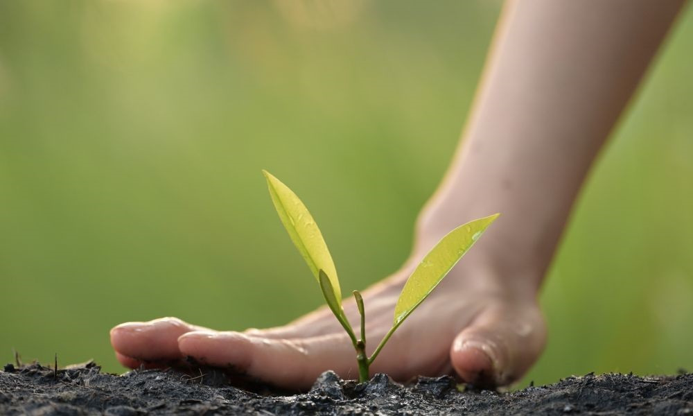 The impact of teachers – building student relationships and nurturing potential