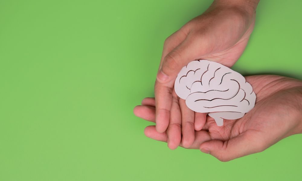 Classroom displays – The Thinking Museum