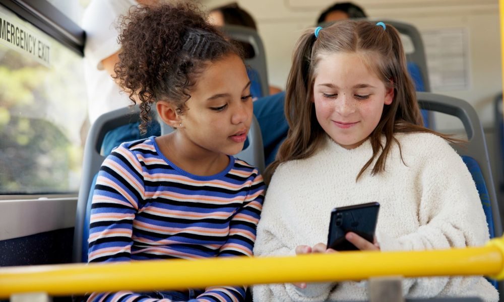 Laying the groundwork – information literacy in primary schools