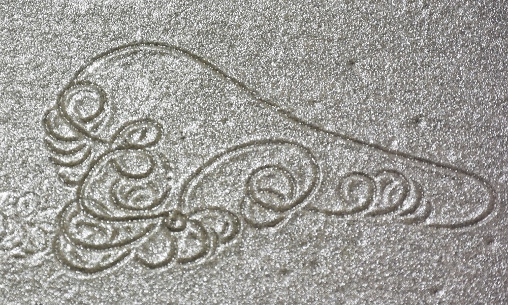 Photo story: Using animal trails to teach science and maths