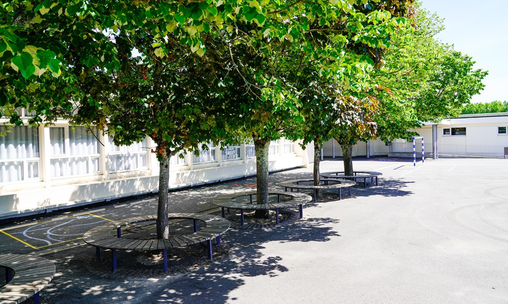Behaviour Management Episode 14: Setting up for healthy play behaviours at school