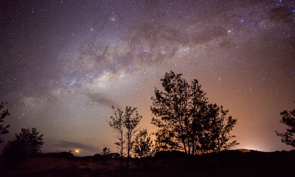 Q&A: Creating an online Indigenous Science course