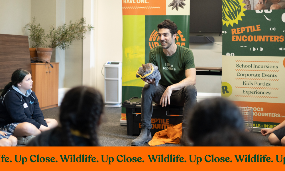 Bringing the wild to school: real lessons, real impact