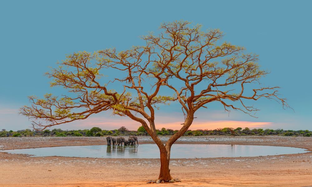 Real-world maths – A mathematical challenge to protect wildlife at scale