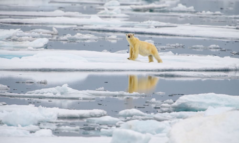 Research news: Addressing eco-anxiety in the classroom