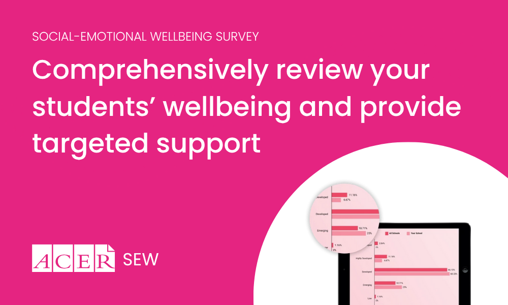 Inform targeted wellbeing support across the school
