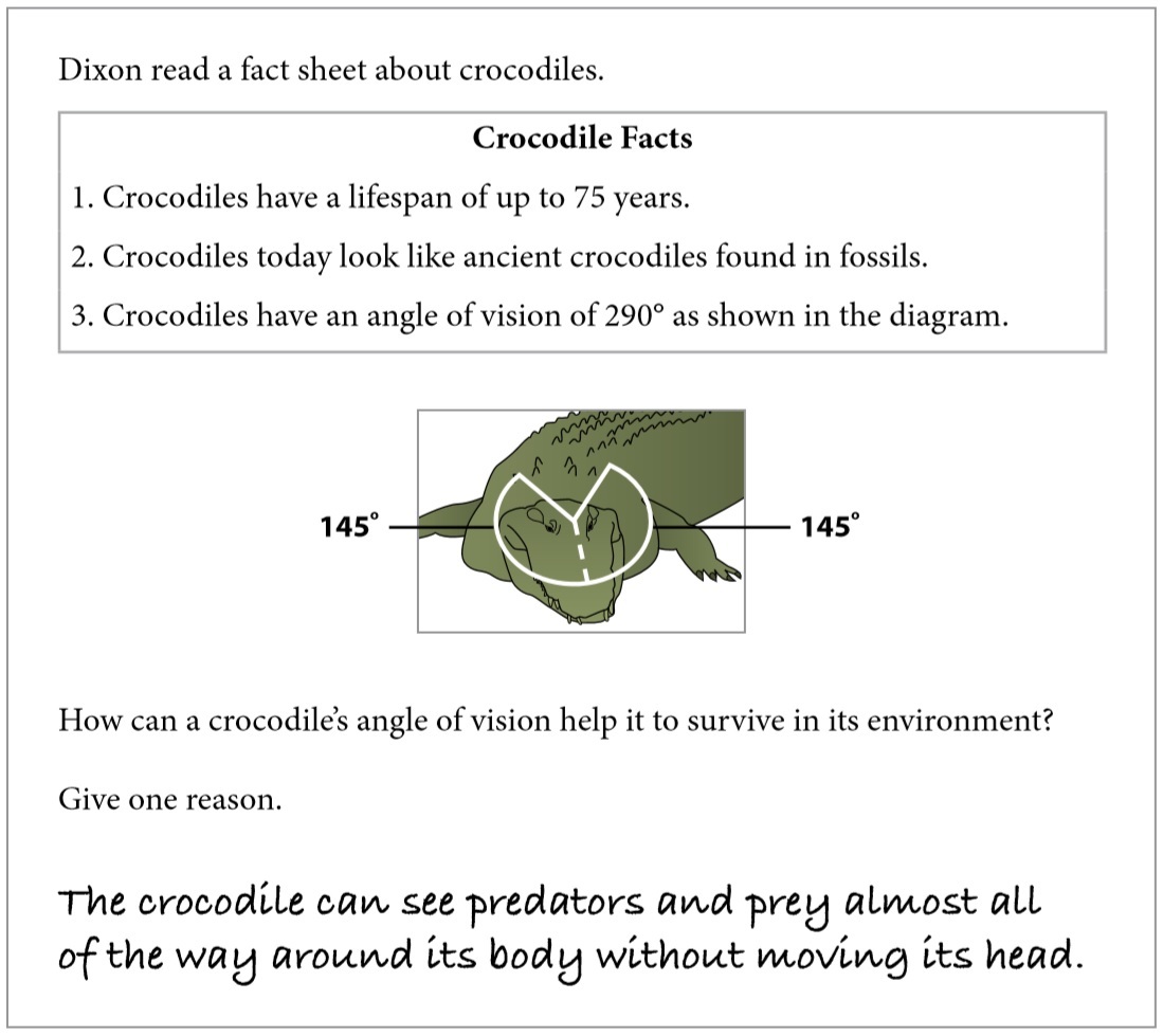 TIMSS analysis example 4