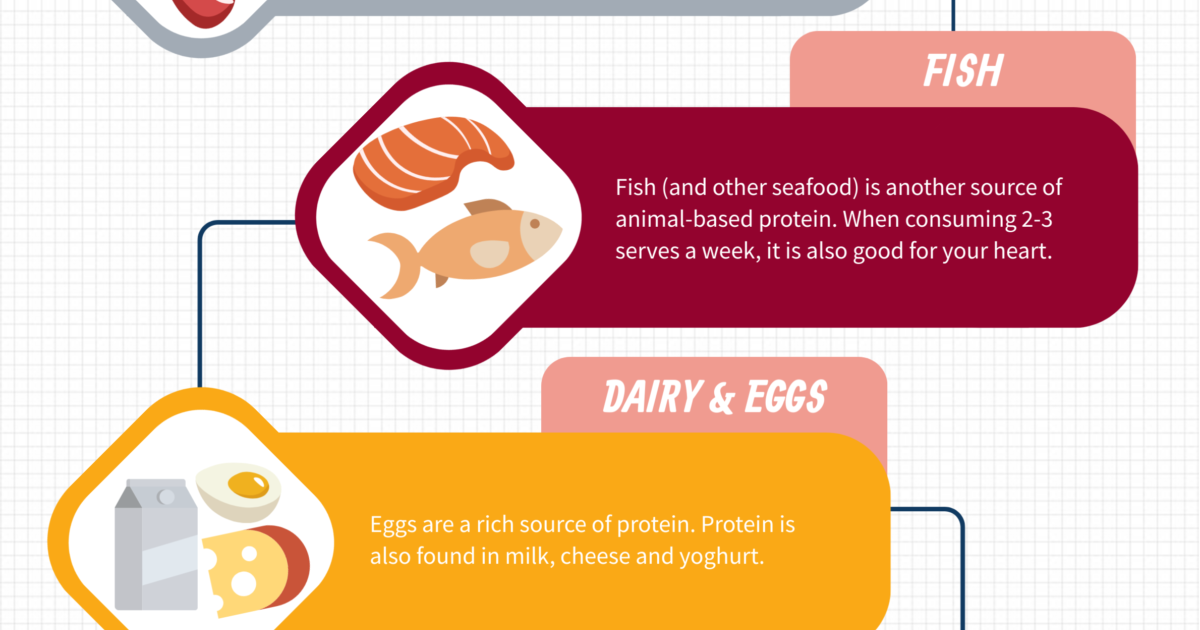 Infographic Nutrients and your health foods containing protein