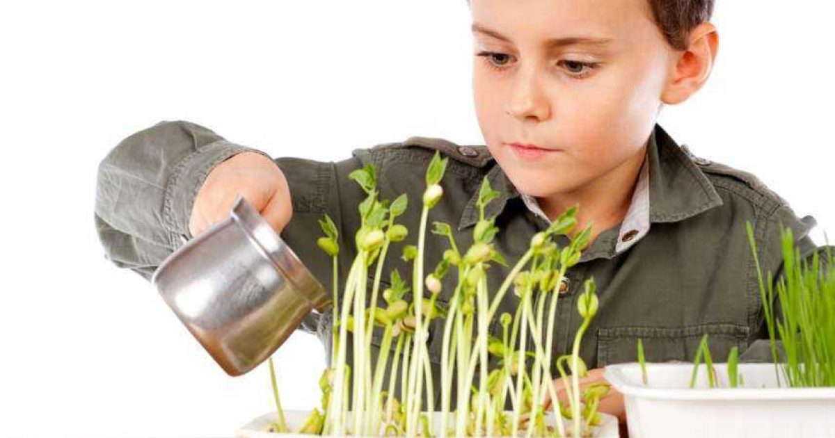 Дети проводимые исследования. Школьники на траве. Дети исследуют растения. Ученики с растениями. Дети экспериментируют с растениями.
