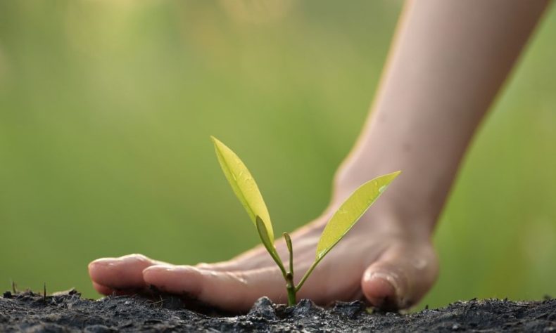 The impact of teachers – building student relationships and nurturing potential
