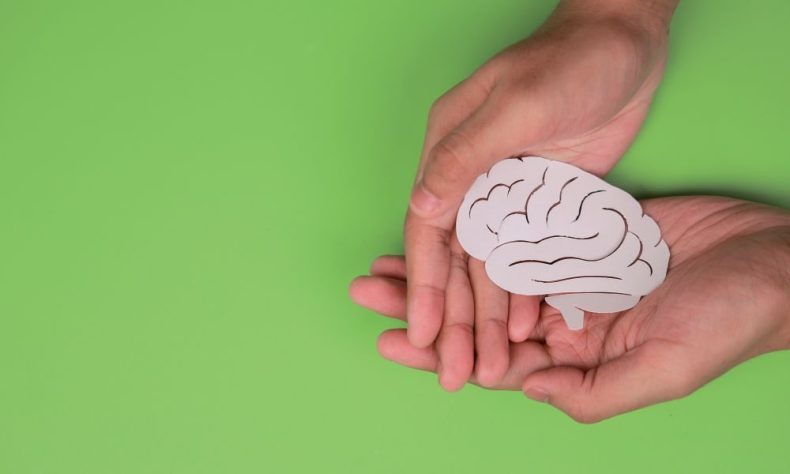 Classroom displays – The Thinking Museum
