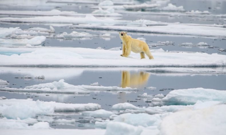 Research news: Addressing eco-anxiety in the classroom