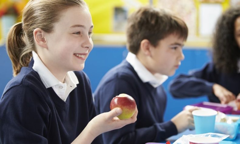 Research news: Vitamins and self-care hot topics for student writing