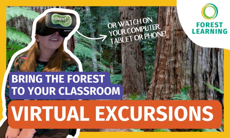 No bus? No worries! Explore Australia’s forests and wood processing facilities virtually