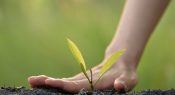 The impact of teachers – building student relationships and nurturing potential
