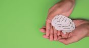Classroom displays – The Thinking Museum