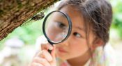 A learning-based approach to differentiating educational provision for gifted students