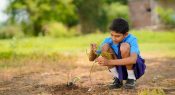 Strategies to nurture students’ social and emotional wellbeing