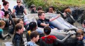 Emu Gully Adventure Education: Transformative learning through challenge and adventure