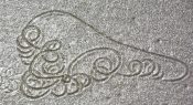 Photo story: Using animal trails to teach science and maths