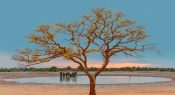 Real-world maths – A mathematical challenge to protect wildlife at scale