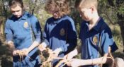 Supporting reconciliation in schools – meet the 2021 Narragunnawali Awards winner