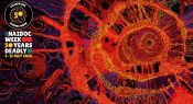 Teacher resources for NAIDOC Week 2026
