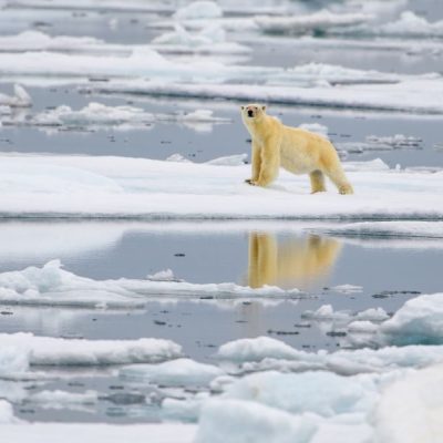 Research news: Addressing eco-anxiety in the classroom