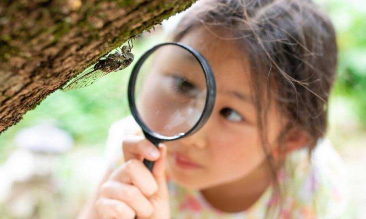 A learning-based approach to differentiating educational provision for gifted students