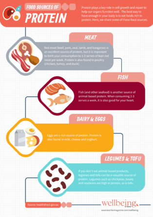 Infographic: Nutrients and your health – foods containing protein