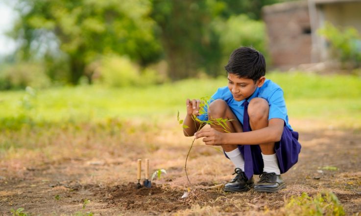 Strategies to nurture students’ social and emotional wellbeing