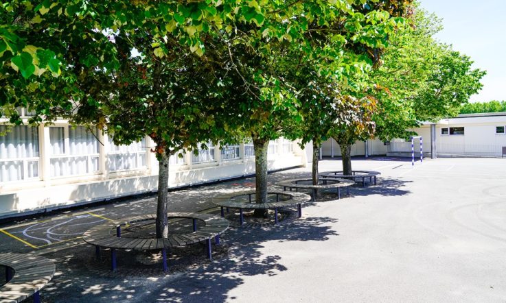 Behaviour Management Episode 14: Setting up for healthy play behaviours at school