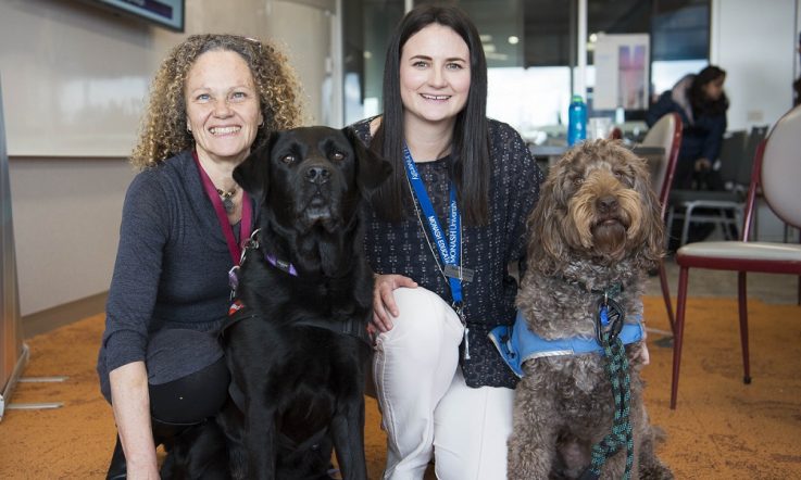 Podcast: Therapy dogs in school settings
