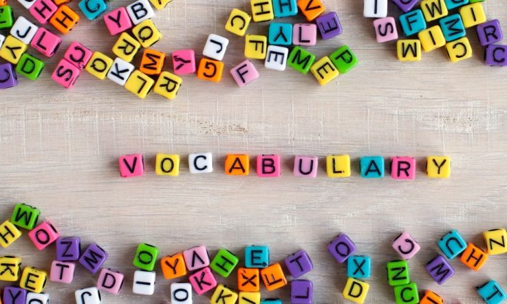 Teacher planning – building student vocabulary in STEM