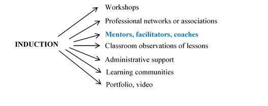 rolle Bange for at dø Manchuriet Beginner teachers: Induction and mentoring